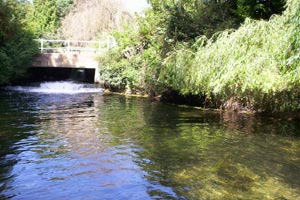 The road bridge at Kimbridge on the Test